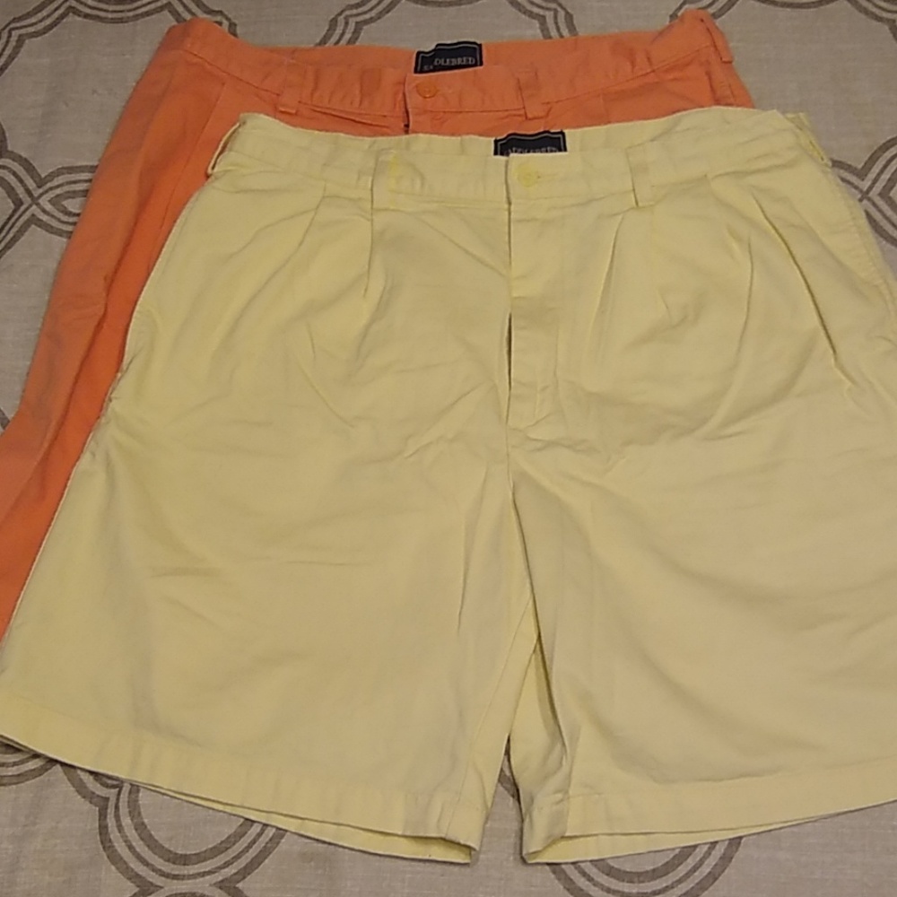 Saddlebred shorts